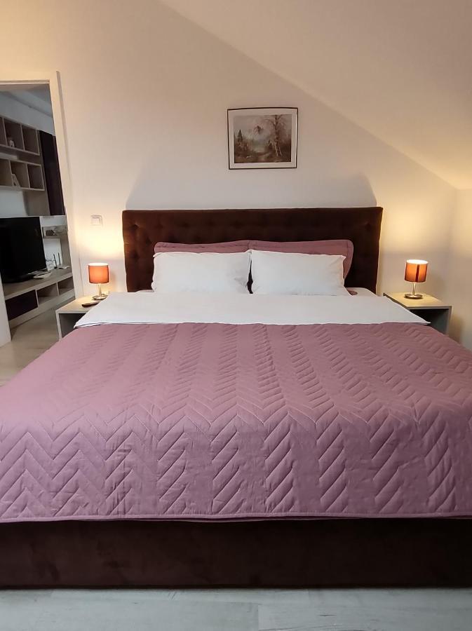 יאשי Simona Apartament Palas Mall מראה חיצוני תמונה