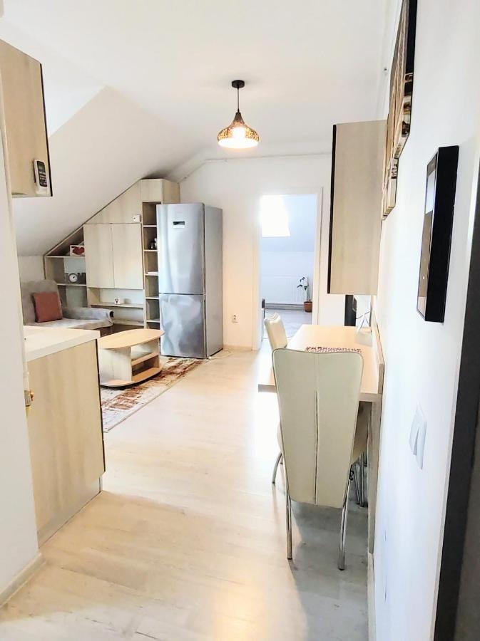 יאשי Simona Apartament Palas Mall מראה חיצוני תמונה