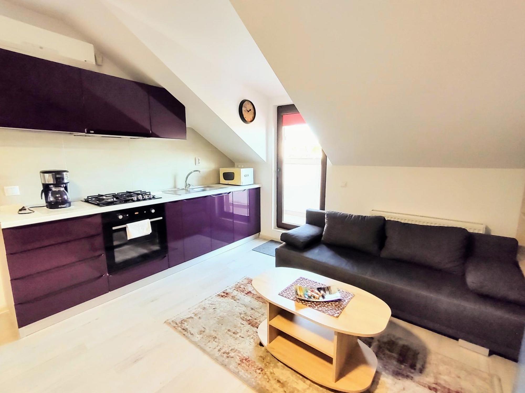 יאשי Simona Apartament Palas Mall מראה חיצוני תמונה