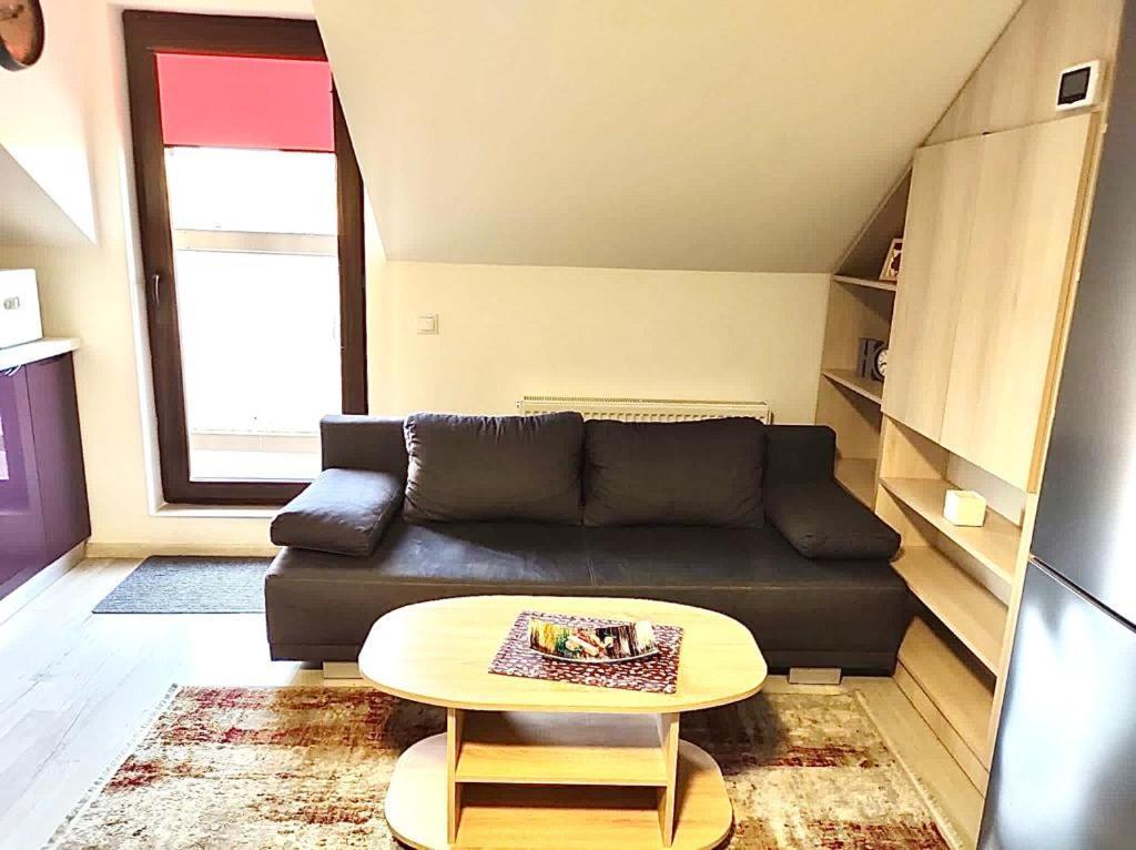 יאשי Simona Apartament Palas Mall מראה חיצוני תמונה