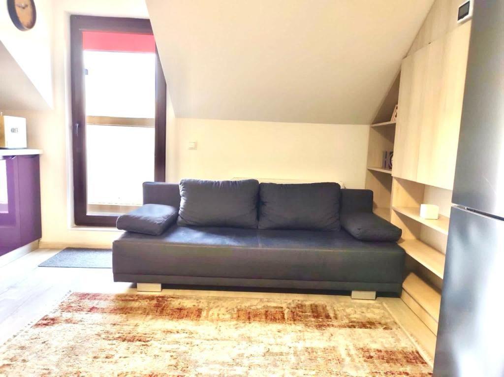יאשי Simona Apartament Palas Mall מראה חיצוני תמונה